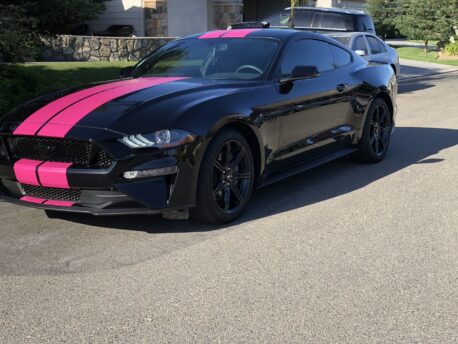 Magenta Pink Matte Car Wrap Vinyl Film